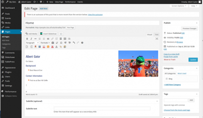 Screenshot of WordPress editor